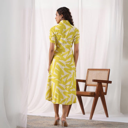 Pack of 4 Women’s Dresses: Chic, Trendy, and Timeless